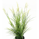 Acorus fleuri UV artificiel H70cm