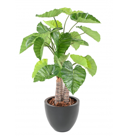 Alocasia artificiel H130cm