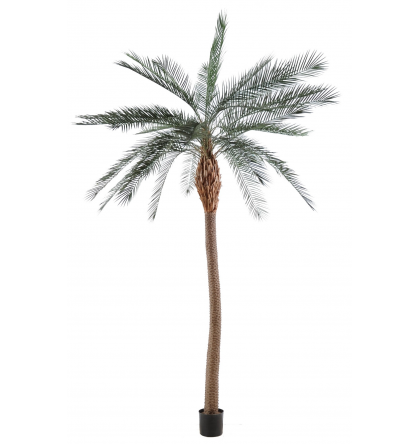 Palmier artificiel Phoenix Palm 210cm