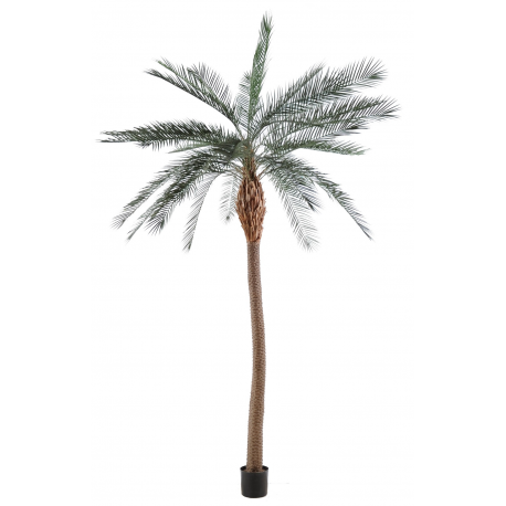 Palmier artificiel Phoenix Palm 210cm