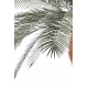 Palmier artificiel Phoenix Palm 210cm