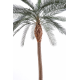 Palmier artificiel Phoenix Palm 210cm