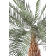 Palmier artificiel Phoenix Palm 210cm