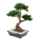 Bonsai Pin en coupe artificiel 70cm