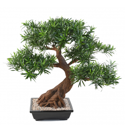 Bonsaï Podocarpus artificiel en coupe H78cm