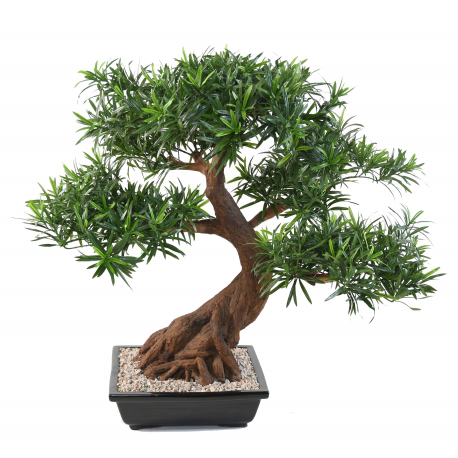 Bonsaï Podocarpus artificiel en coupe H78cm