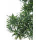 Bonsaï Podocarpus artificiel en coupe H78cm