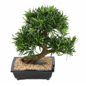 Bonsaï Podocarpus artificiel en coupe H50cm