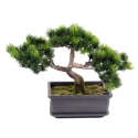 Bonsai Pin mini en coupe UV artificiel H22cm