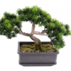 Bonsai Pin mini en coupe UV artificiel H22cm