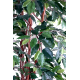 Ficus lianes artificiel petites feuilles