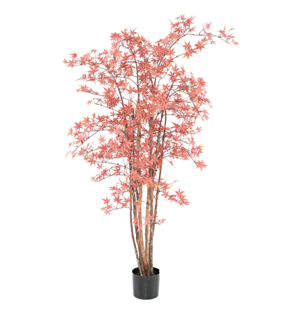 Aralia (érable) UV artificiel H160cm