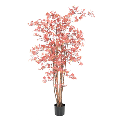 Aralia (érable) UV artificiel H160cm