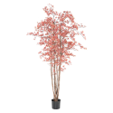 Aralia (érable) UV artificiel H210cm