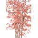 Aralia (érable) UV artificiel H210cm