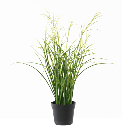 Acorus fleuri blanc artificiel H45cm