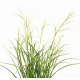 Acorus fleuri blanc artificiel H45cm