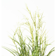 Acorus fleuri blanc artificiel H45cm