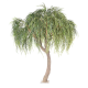 Saule willow tree artificiel H265cm