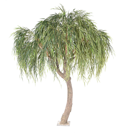 Saule willow tree artificiel H265cm