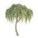 Saule willow tree artificiel H265cm