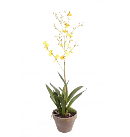 Orchidée artificielle dancing lady pot terre 90cm