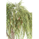 Saule willow tree artificiel H265cm