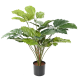 Tetrastigma artificiel H70cm