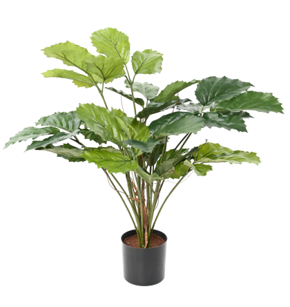 Tetrastigma artificiel H70cm