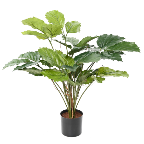 Tetrastigma artificiel H70cm