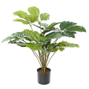 Tetrastigma artificiel H70cm