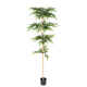 bambou wild artificiel H175-220-250cm