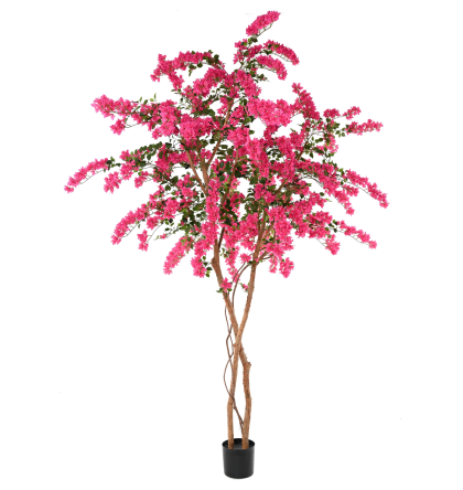 Bougainvillée fleurs fuchsia artificiel H320cm