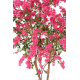 Bougainvillée fleurs fuchsia artificiel H320cm