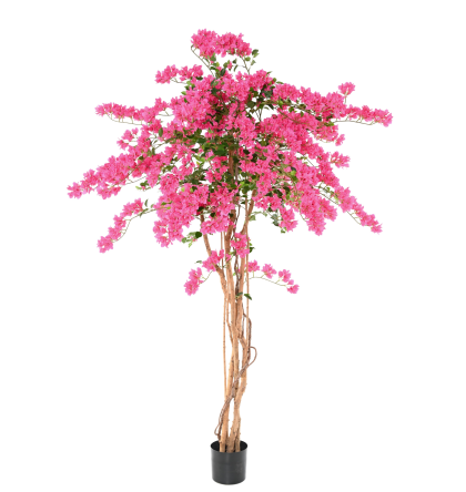 Bougainvillée fleurs fuchsia artificiel H230cm