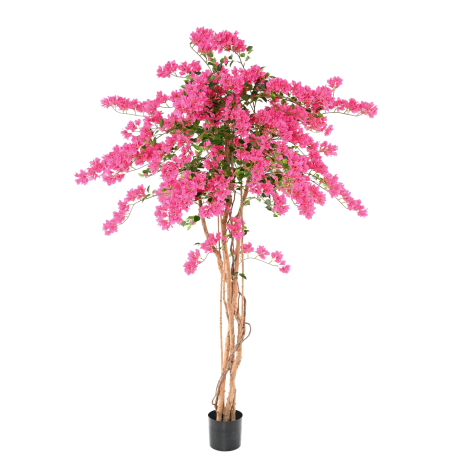Bougainvillée fleurs fuchsia artificiel H230cm