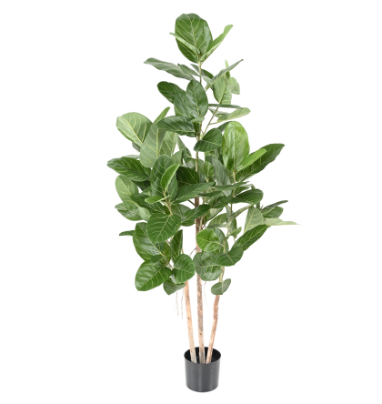 Ficus Audrey artificiel H150-190-310cm