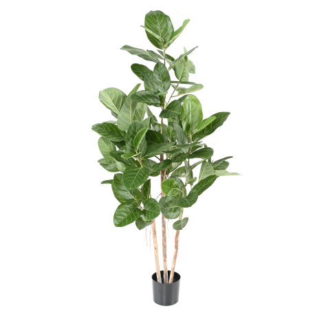 Ficus Audrey artificiel H150-190-310cm