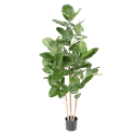 Ficus Audrey artificiel H150-190-310cm