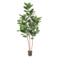 Ficus Audrey artificiel H150-190-310cm