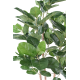 Ficus Audrey artificiel H150-190-310cm