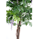 Glycine multitree (150cm)
