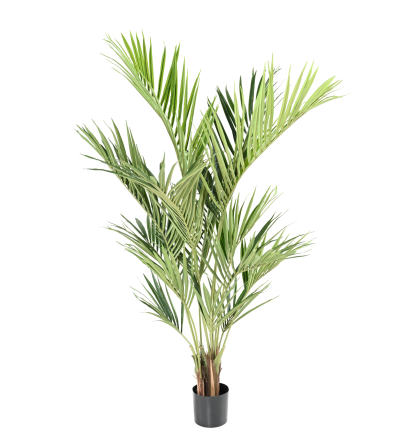 Kentia Royal artificiel