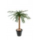 Cycas palmier artificiel 80 à 210cm
