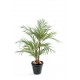 Areca 3 troncs artificiel 170 et 220cm