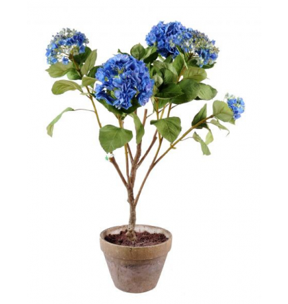 Hortensia avec pot terre (100cm)