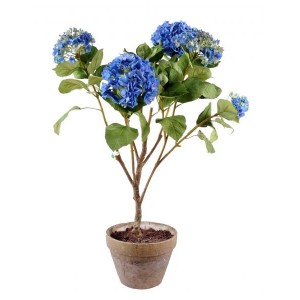 Hortensia avec pot terre (100cm)