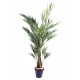 Kentia Royal artificiel H190-220-270cm