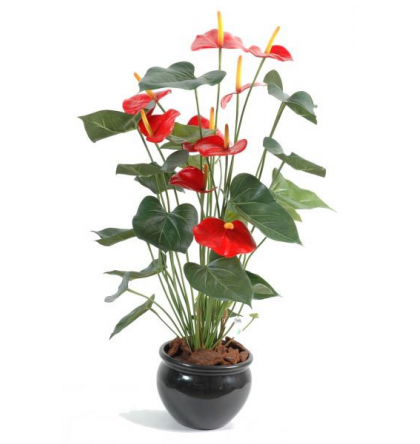 Anthurium artificiel H75cm