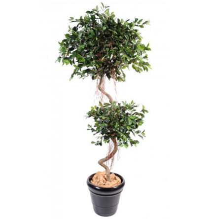 Ficus artificiel spirale 2 boules H185cm